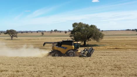 Ein-Landwirtschaftlicher-Mähdrescher-Wirbelt-Staub-Auf-Und-Schneidet-Durch-Ein-Feld-In-Parkes,-New-South-Wales,-Australien