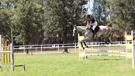 horse and rider jumping over obstacles