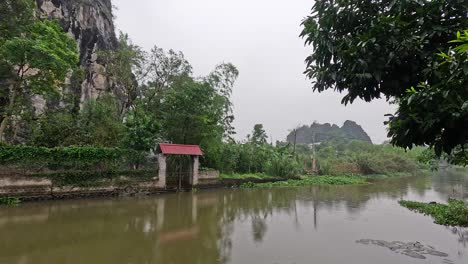 peaceful river scene with lush greenery