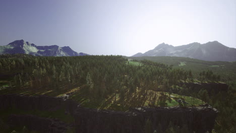 scenic mountain landscape with lush trees and sunlight during daytime