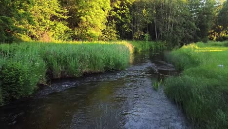 Un-Pequeño-Río-Entre-El-Bosque-Durante-La-Puesta-De-Sol-En-El-Verano-Estonio