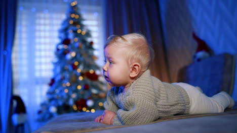 sweet blond baby boy with adorable plump cheeks lies on the sofa. kid wearing sweater lies on his belly looking ahead. christmas tree at backdrop in blur.