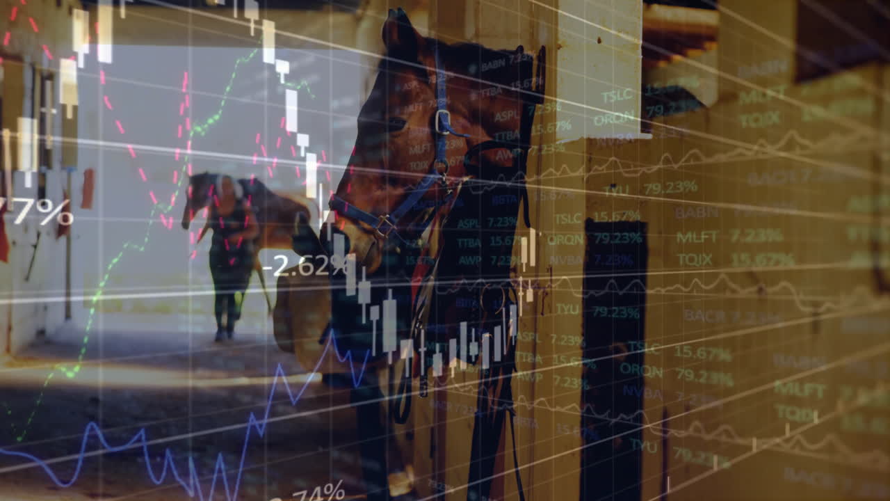 анимация обработки финансовых данных над лошадьми в конюшне
