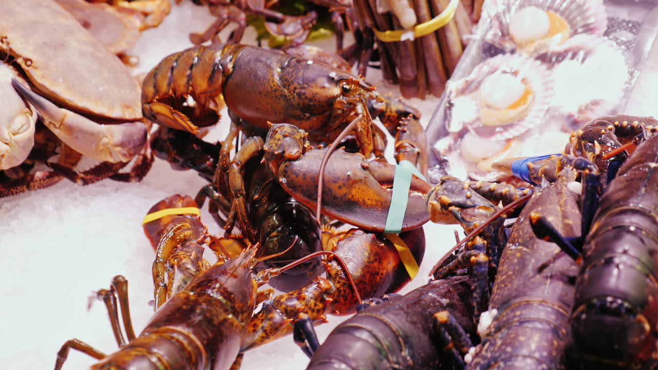 어시장에 있는 큰 가재는 얼음 조각 위에 놓여 있다