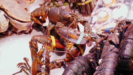 grandes langostas en el mercado de pescado se encuentran en cubos de hielo