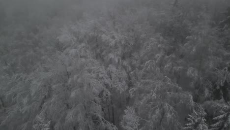 低可见度雾 冬季暴风雨在埃尔布拉格波兰