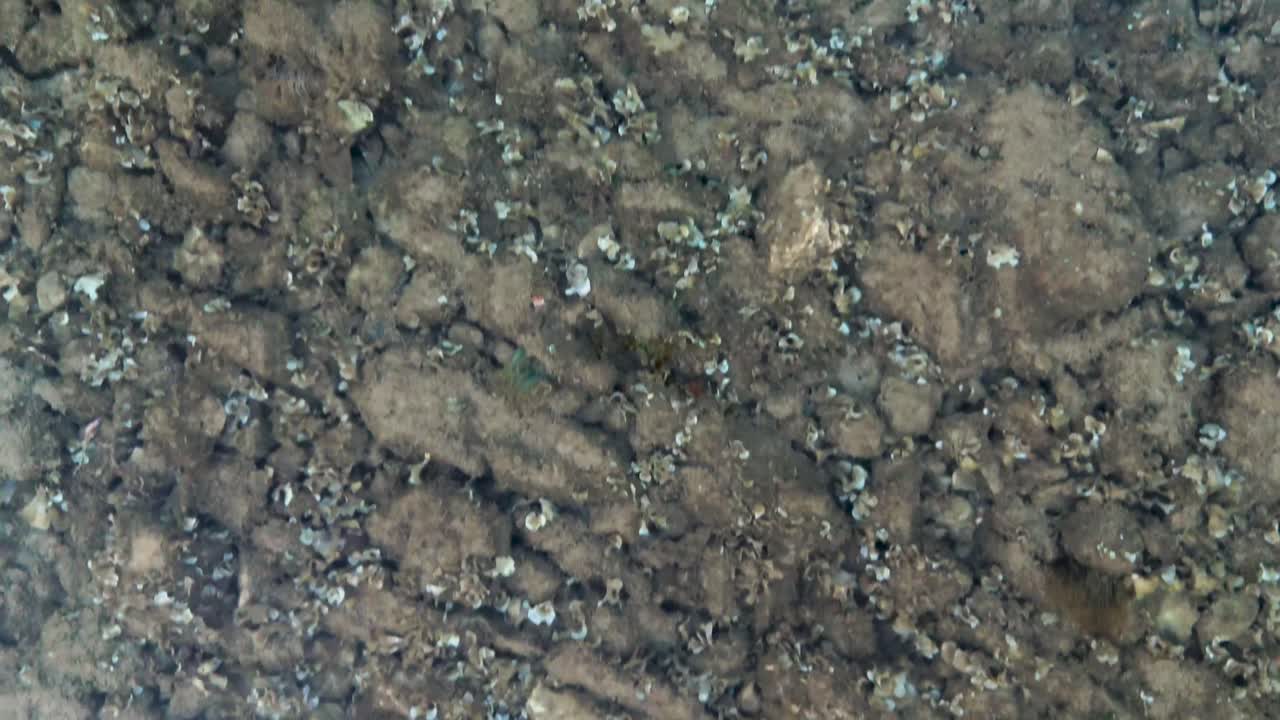 Marvelous aerial view on Croatian sea landscape and Mediterranean coastline