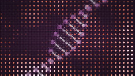 animation of dna strand and neon glowing light spots pattern moving over black background