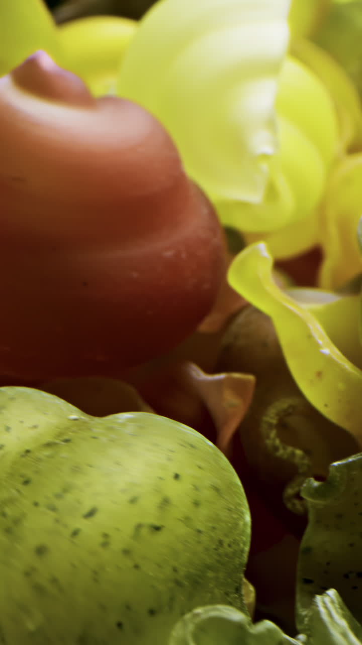 el primer plano de la pasta colorida