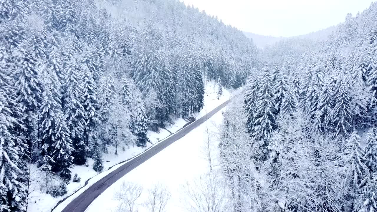 시골 산길 을 따라 눈 인 상록 나무 들 의 공중 겨울 풍경