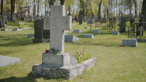 cross tombstone with a red rose in a graveyard on a sunny day