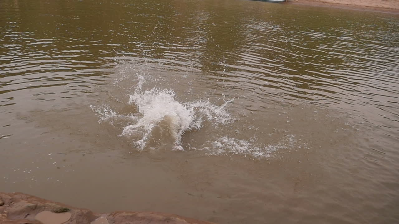 Boy Splashing in a River