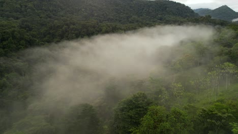 drone flying through fog cloud jungle mountains costa rica