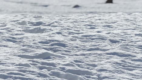 Aufnahme-Der-Wunderschönen-Umgebung-Von-Pas-De-La-Casa,-Andorra