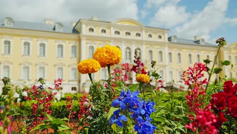 slow motion flowers in wind with blurred rundāle palace in summer sunlight
