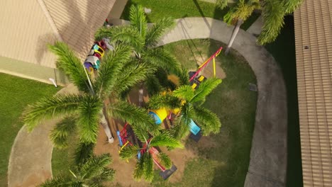 playground and palm trees