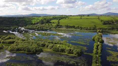 the gearagh, wonderful preserved nature and petrified forest, submerged under water of river lee during high tides