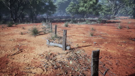 Old-rural-barbed-wire-fence-with-wooden-posts