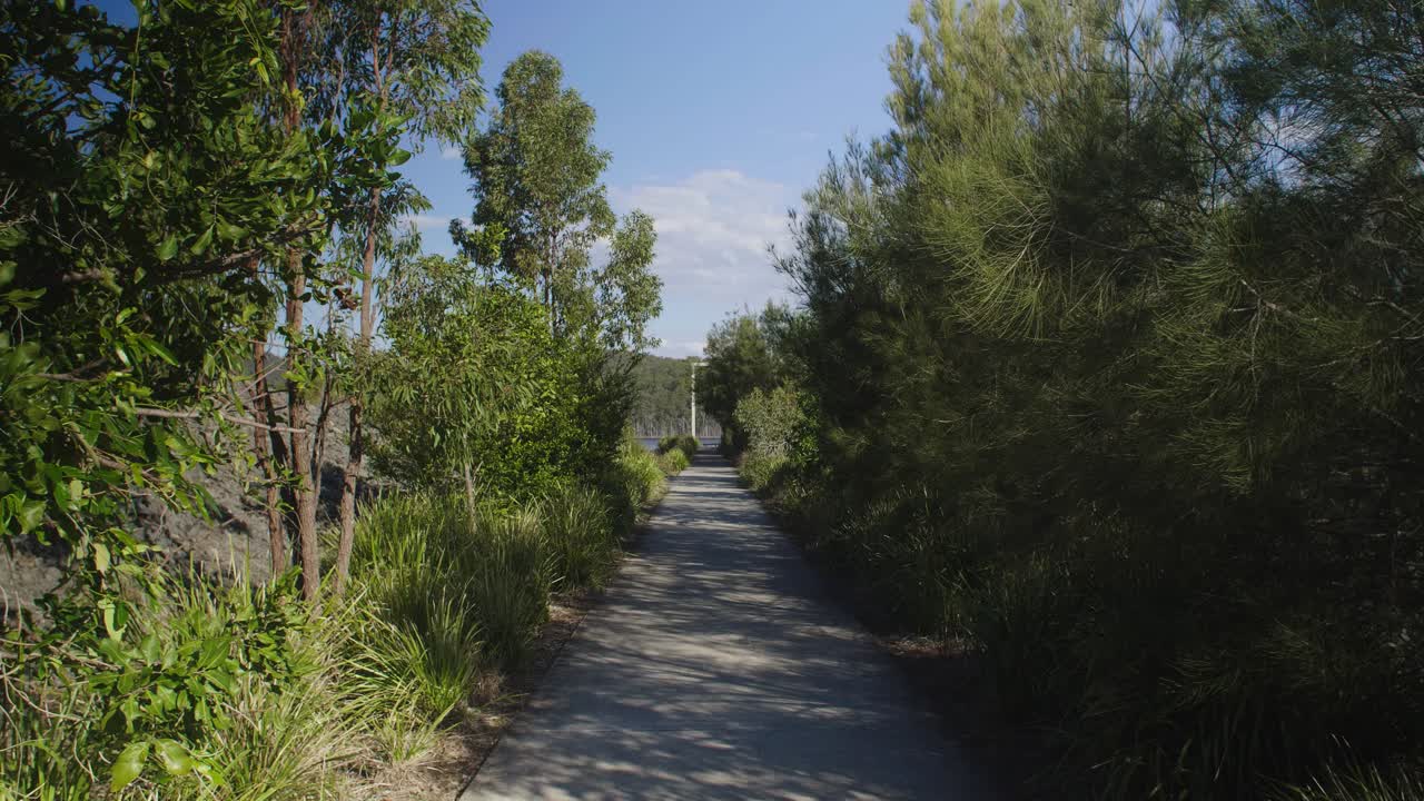 콘크리트 통로에 바람이 부는 나무