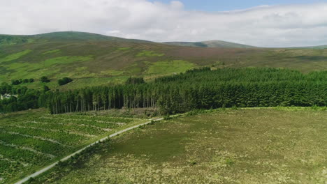 Serene-mountainous-expanse-of-Glencree-Ireland,-cloudy-sky-over-farmland-and-forest-clearing