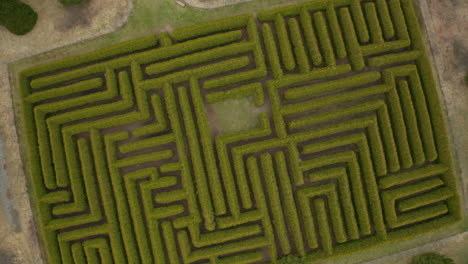 high rotating aerial drone view of an empty hedge maze