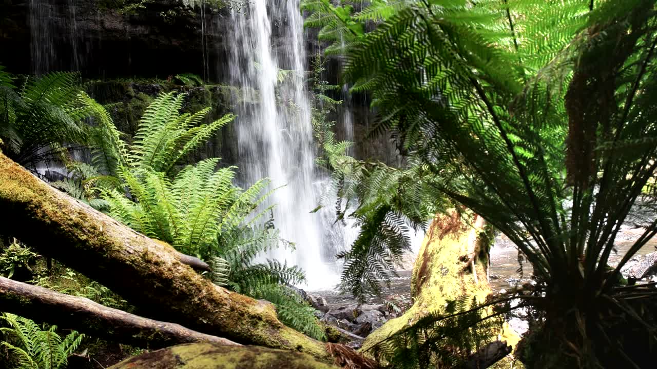 la base de las cataratas de russell en tasmania, australia