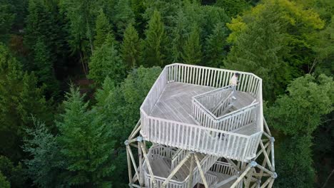 two boys climbing down wooden lookout in berg en bos, drone view