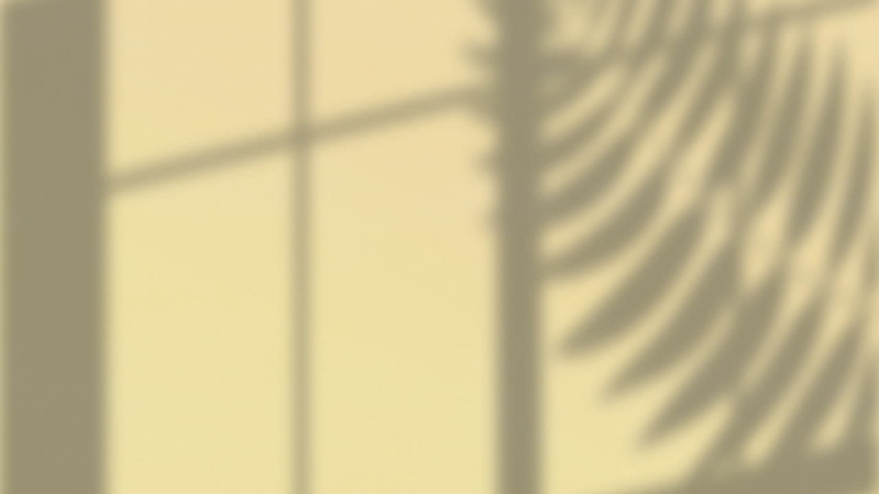 Animation of window frame and plant leaf shadows moving on cream wall background