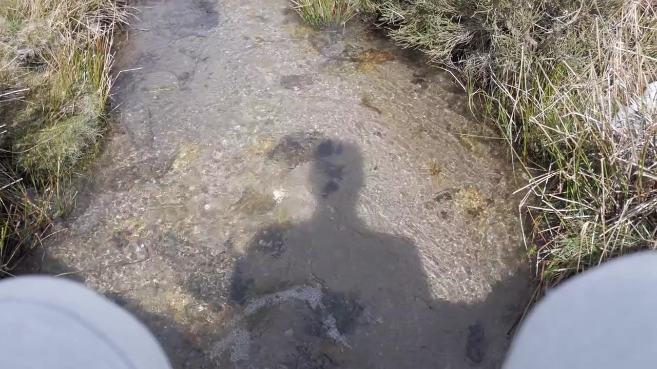 Shadow of person over clear shallow stream in grassy outdoor natural setting
