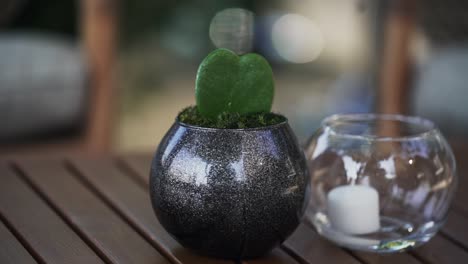 Cute-small-green-plant-in-black-pot-paired-with-elegant-glass-vase-with-candle,-table-top