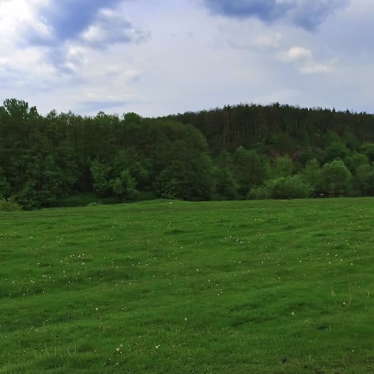 Happy couple riding horses by the green meadow. Leisure time spending in the nature in summer