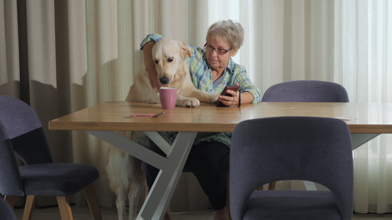 개 가 테이블 에 앉아 있는 동안 전화 를 사용하는 고위 여성