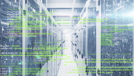 animation of programming languages and illuminated abstract lines moving on data server systems