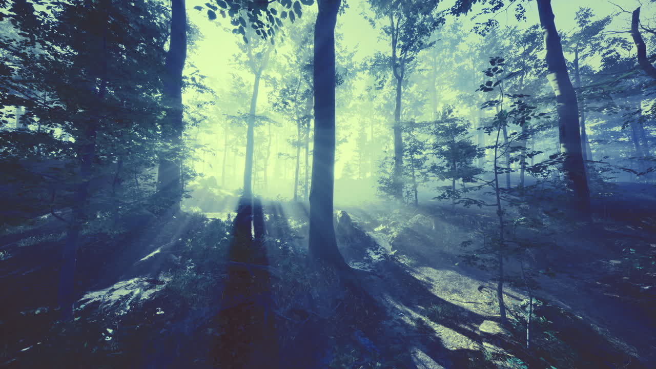 Raggi di sole misteriosi che filtrano tra alberi secolari in una foresta tranquilla