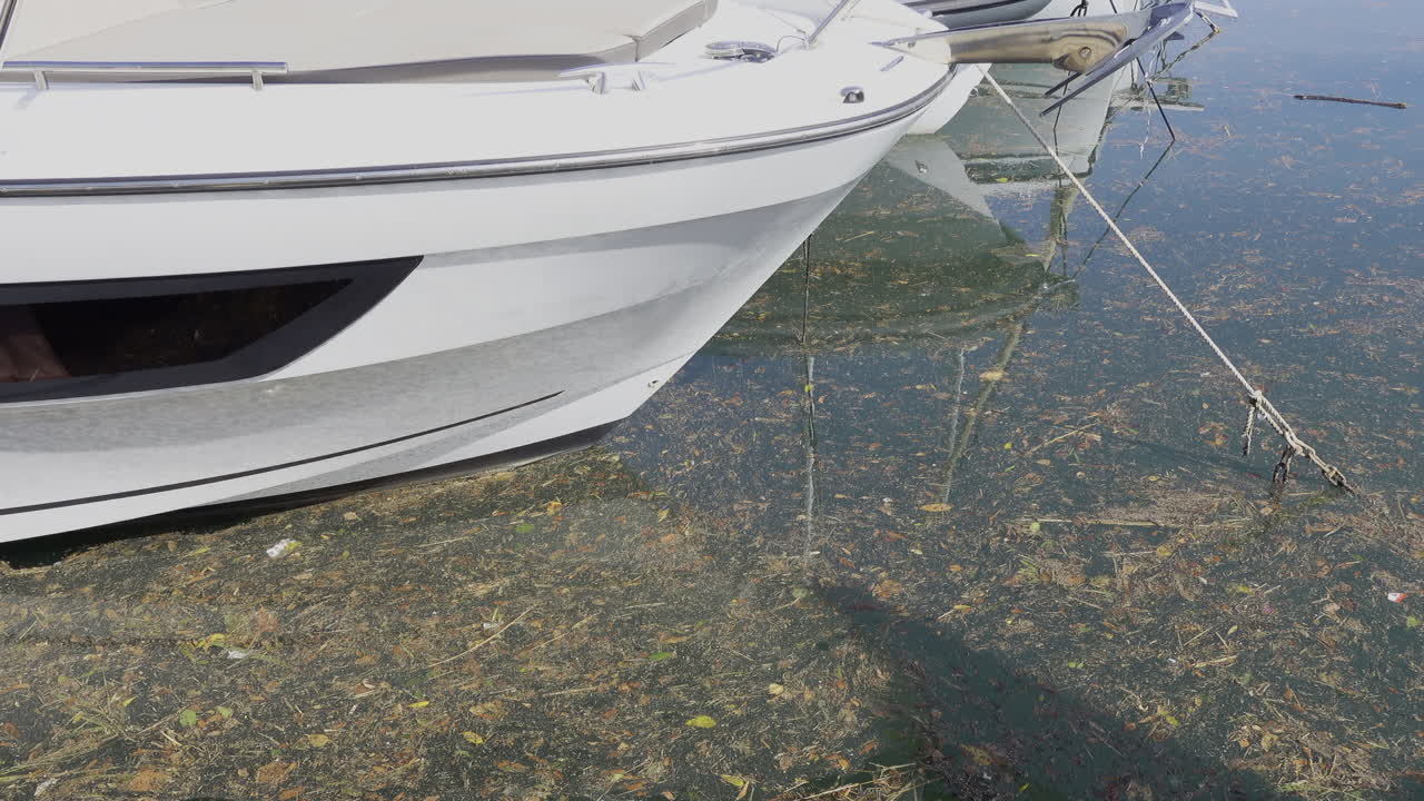 Close up of white boats docked in dirty water