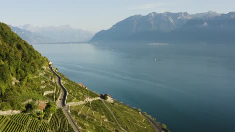 flying high above steepest part of lavaux and lake léman the alps in the background lavaux - switzerland