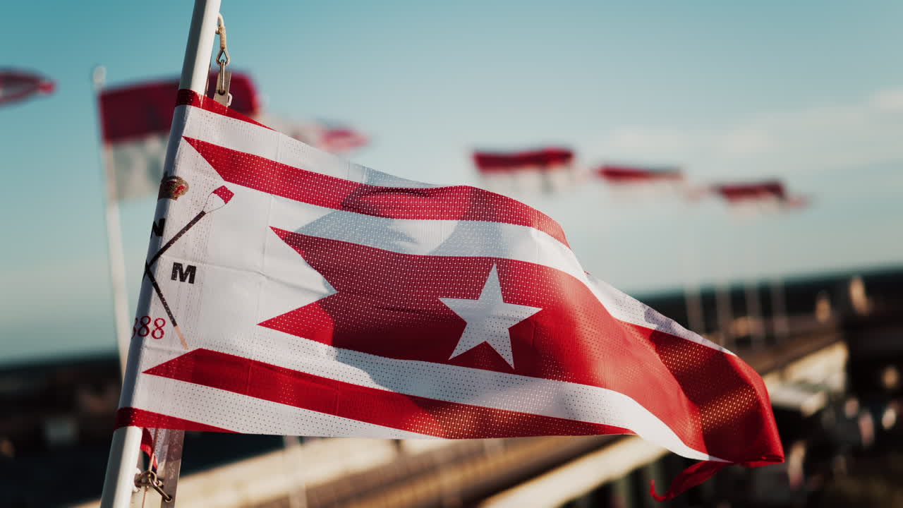 The Principality of Monaco Sports flag waving on top of a building
