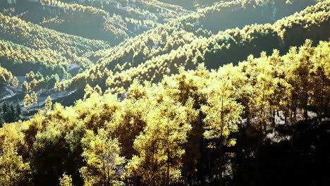 Wunderschöner-Orangefarbener-Und-Roter-Herbstwald