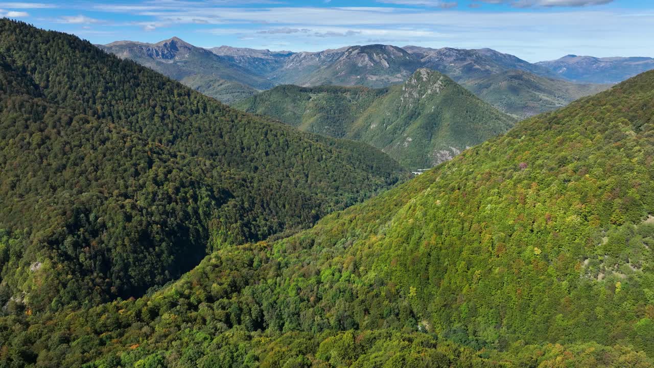 Magnificent national park forest in Montenegro - Biogradska Gora