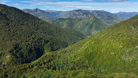 magnificent national park forest in montenegro - biogradska gora