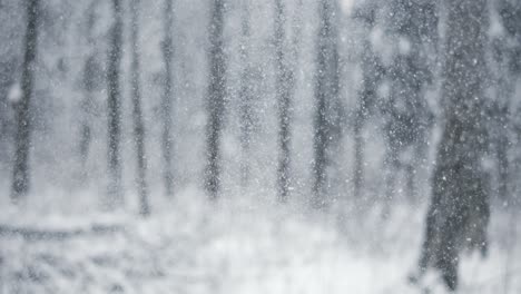 Winterlandschaft-Bei-Schneefall.-Abstrakter-Hintergrund-Für-Winterweihnachten-In-Superzeitlupe.