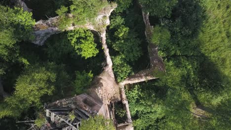 aerial view of a ruined castle in a forest