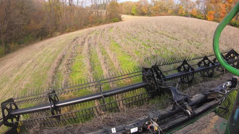 punto de vista de un agricultor que usa una cosechadora y un cabezal de soya con cinturón para cosechar frijoles en el campo en el medio oeste