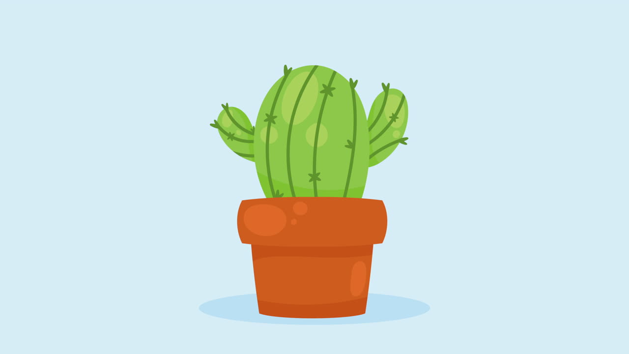 green cactu plant in pot animation