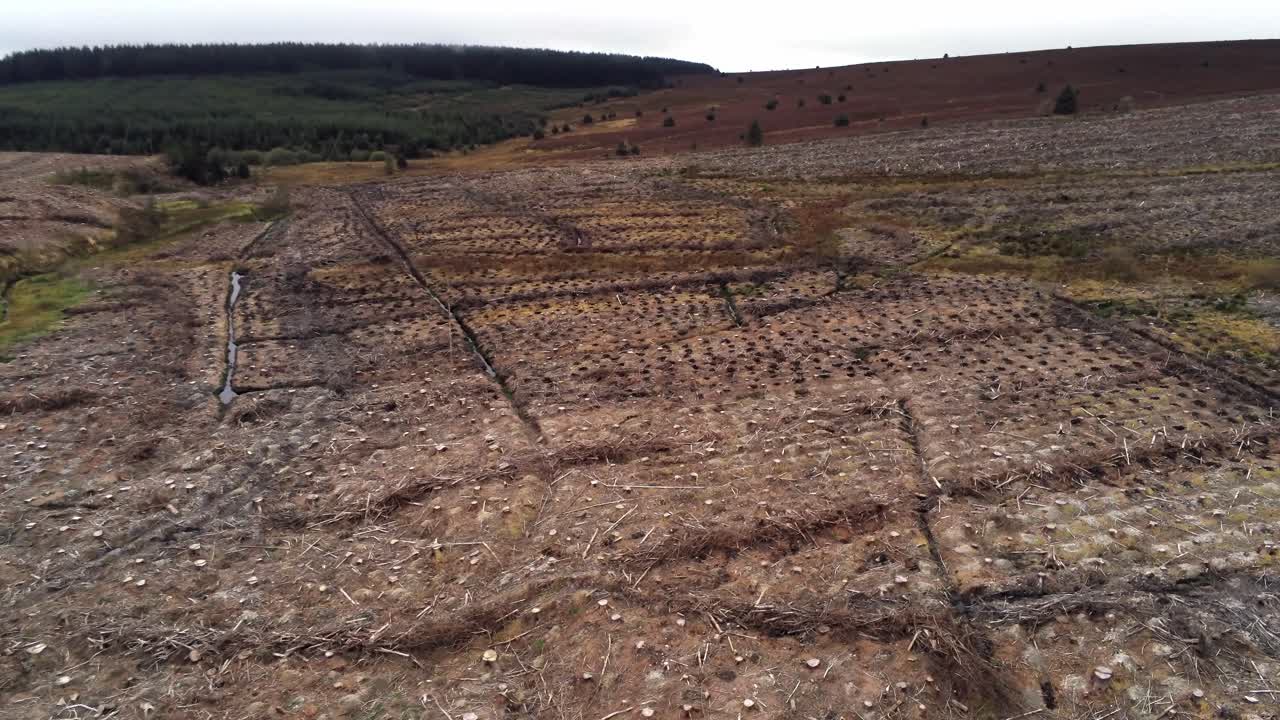 임업 목재 벌목 수확 삼림 벌채 공중 궤도 철거 된 삼림을 가로 지르는 오른쪽보기