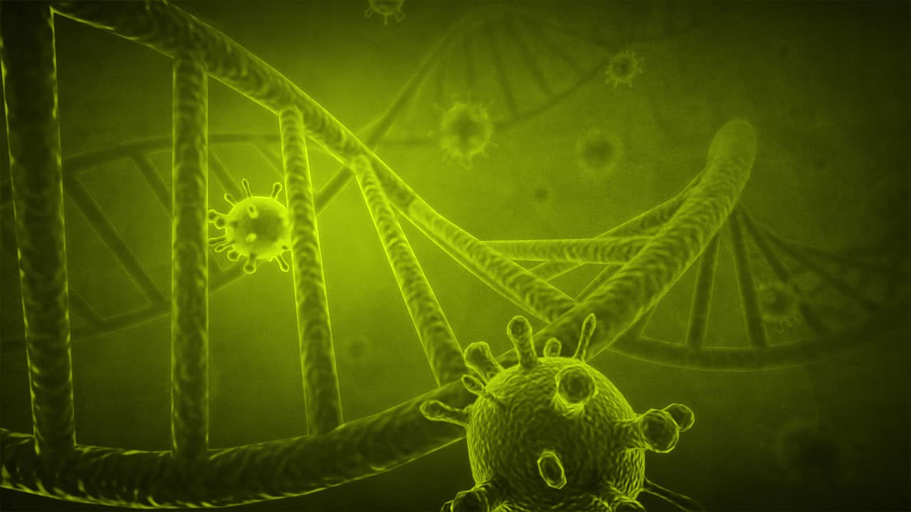 Virus and DNA Structure