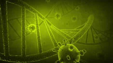 virus and dna structure
