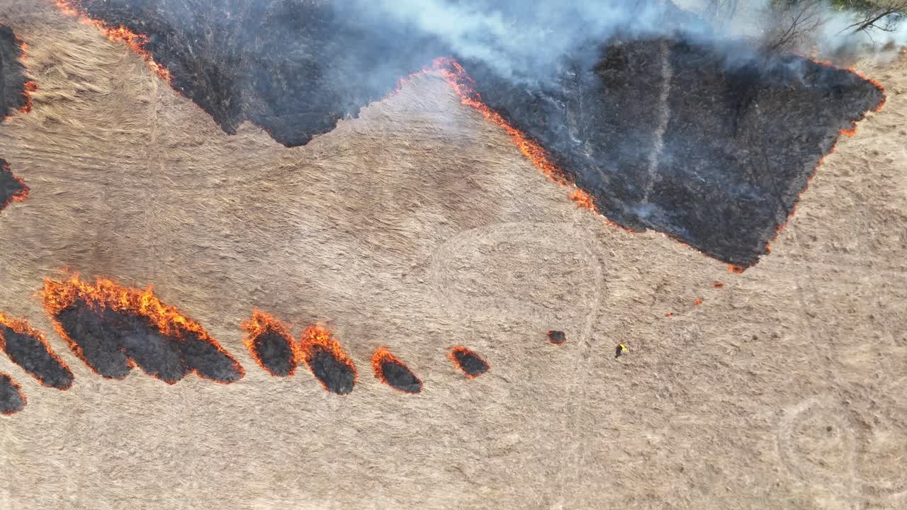 A fire makes unique patterns in a field as it is started to prevent the spread of an approaching forest fire. B-roll representative of Carolina fires.