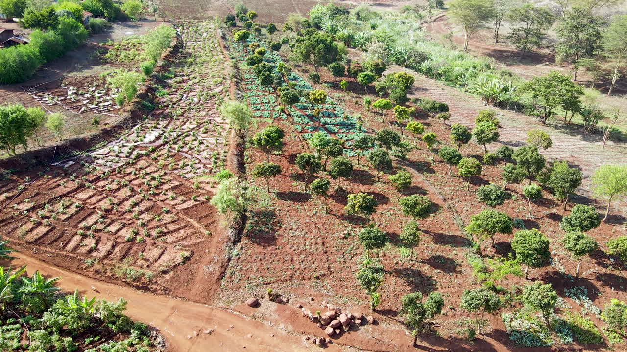케냐 시골의 경작지를 향해 천천히 날아갑니다.