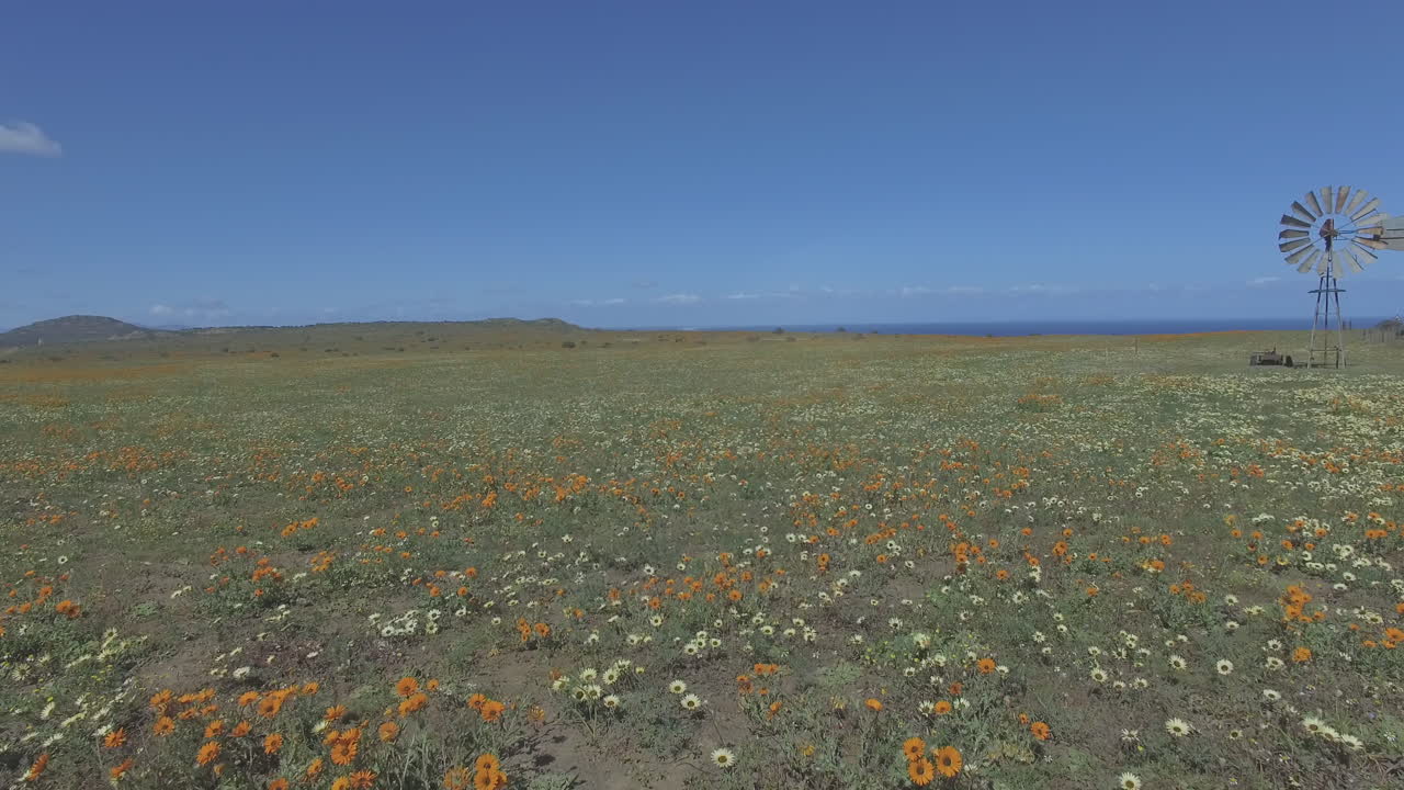 자연은 너무 많은 것을 제공 할 수 있습니다.